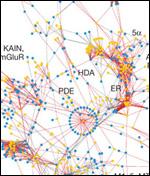research image